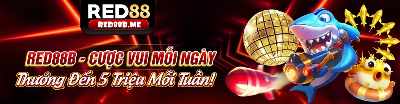 Tối ưu hóa trải nghiệm cá cược sun88