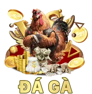 Đọc điều khoản